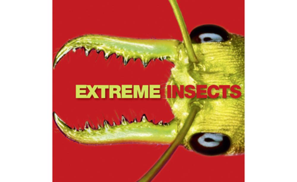 Extreme Insects