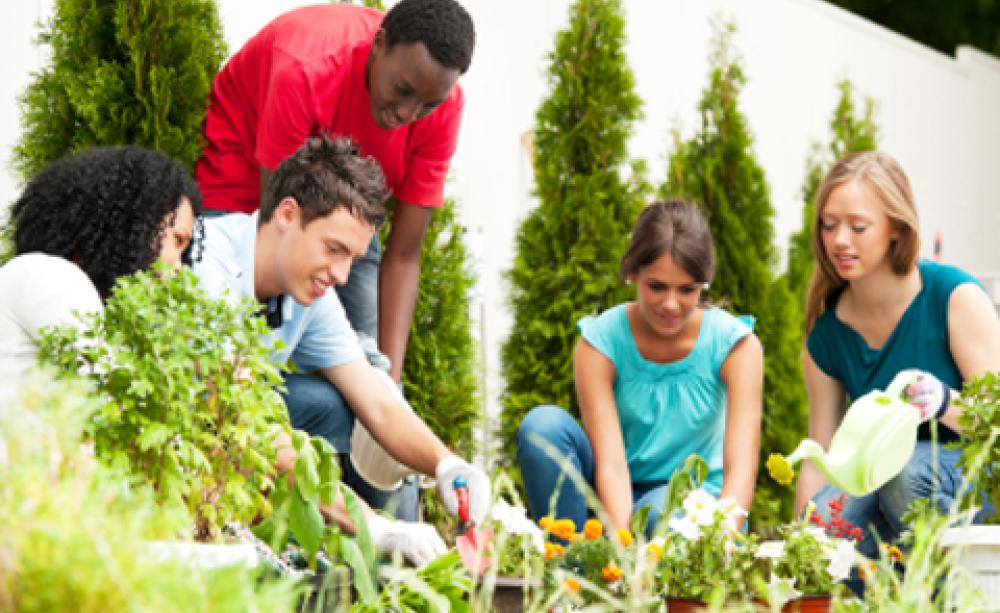 voluntourism
