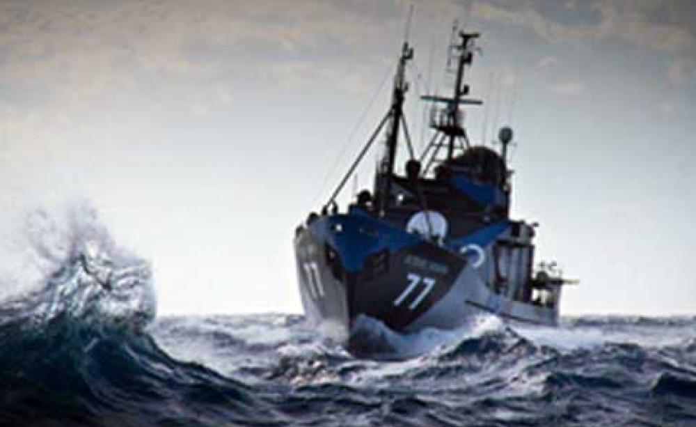 Sea Shepherd