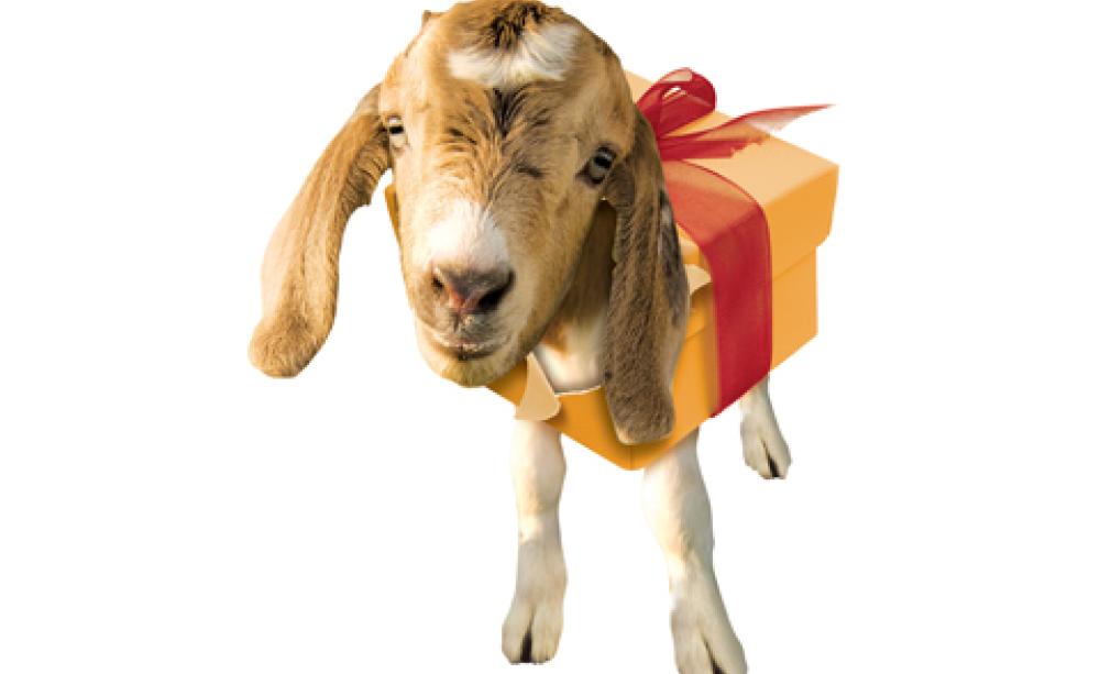 Oxfam Unwrapped
