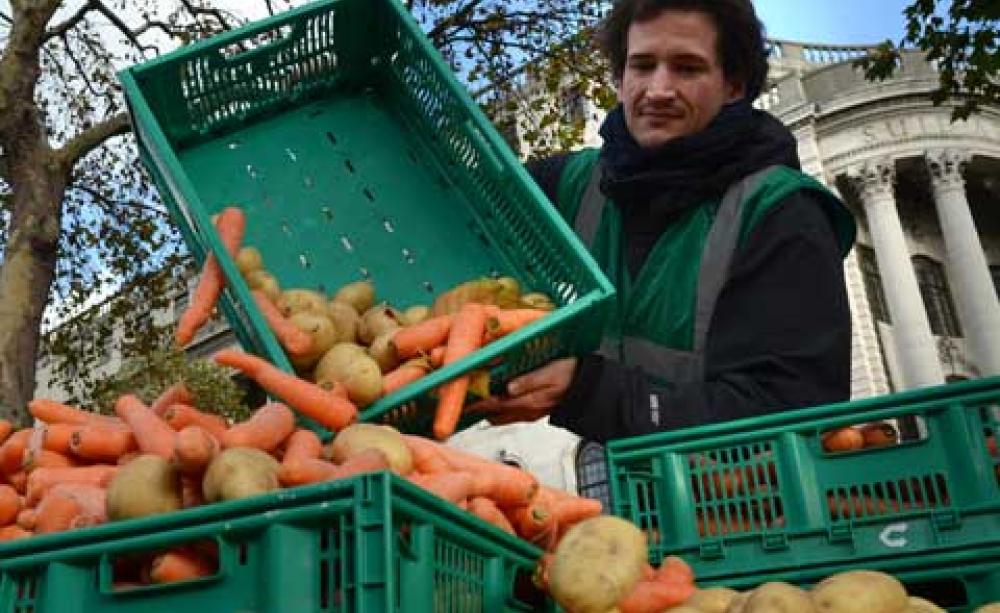 Man tipping vegetables into container. Consumers &amp; supermarkets need to tackle food waste