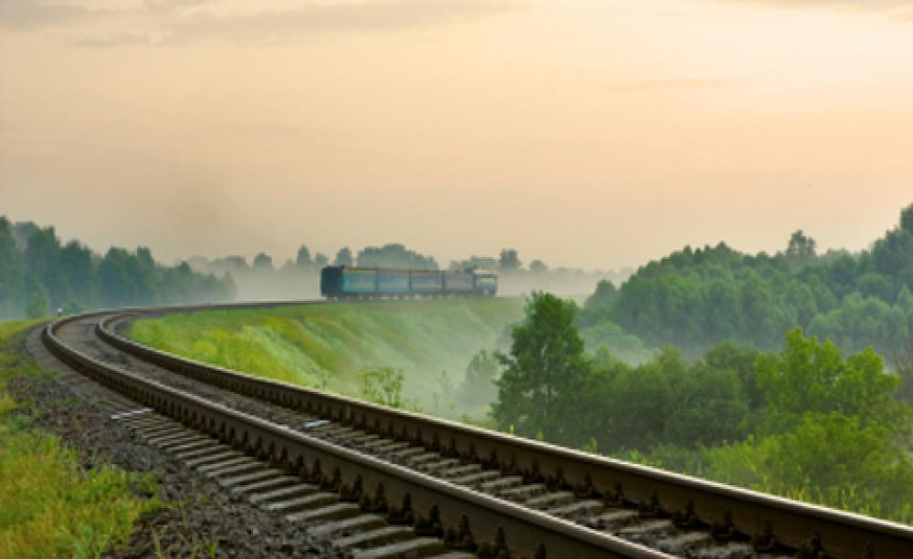 Five ways to make 2012’s family holiday the greenest ever