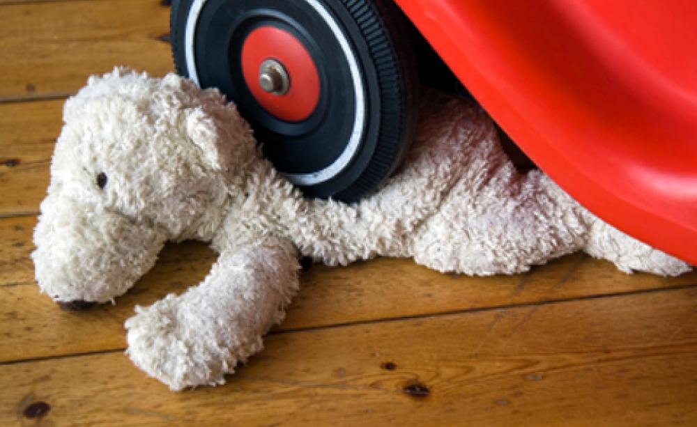 Roadkill: sickening or sustainable?