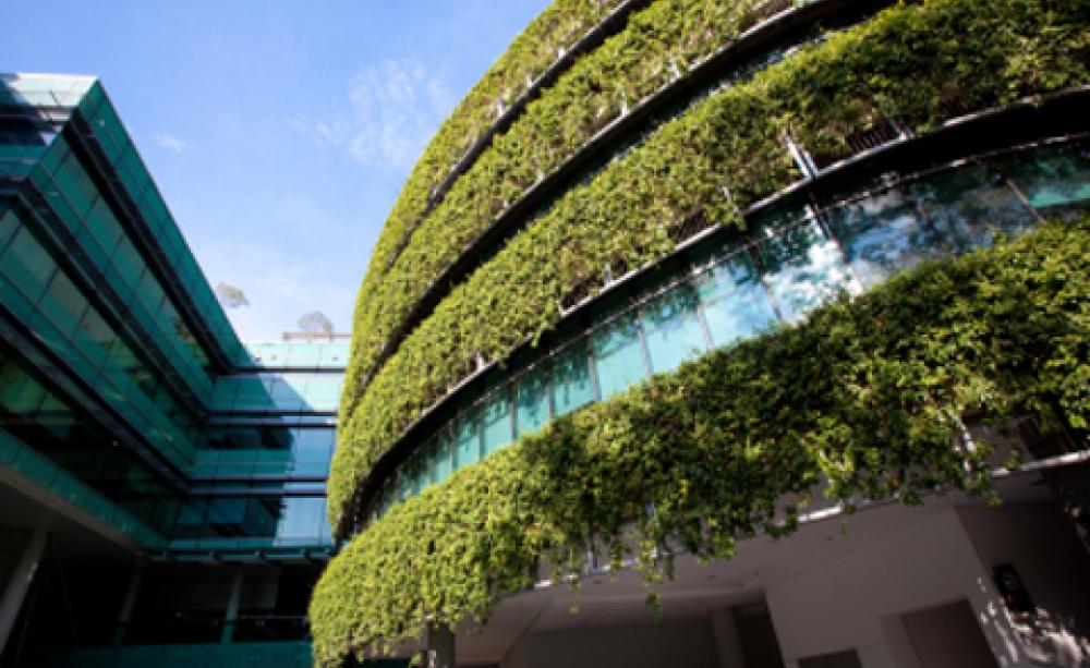 green roof