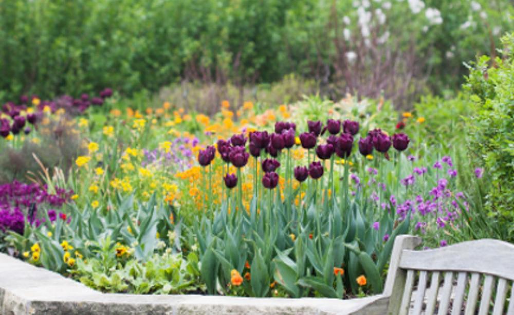 How to…build a raised flowerbed