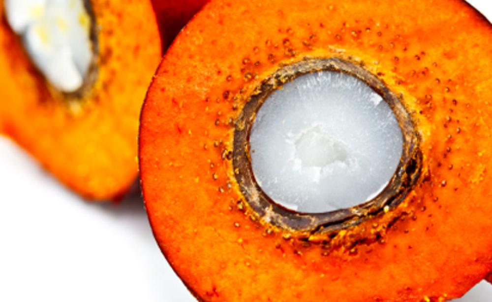 palm oil