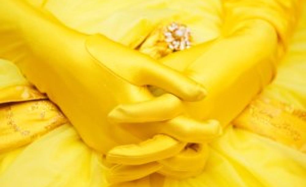 Cinderella's gloves