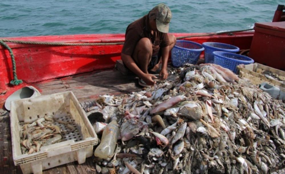 Labour abuses in the shrimp industry