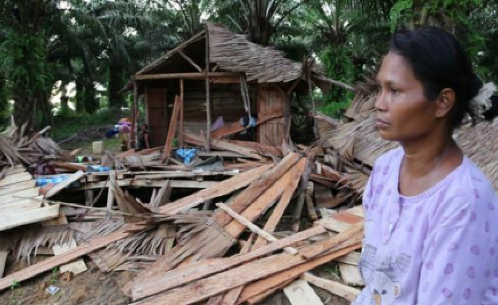 A village destroyed for palm oil, Sumatra, Indonesia. Photo: Rainforest Rescue.