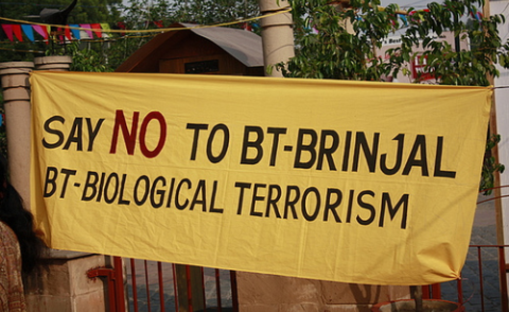 No to Bt-Brinjal, reads a banner at a protest in New Delhi. Photo: Joe Athialy via Flickr.com.