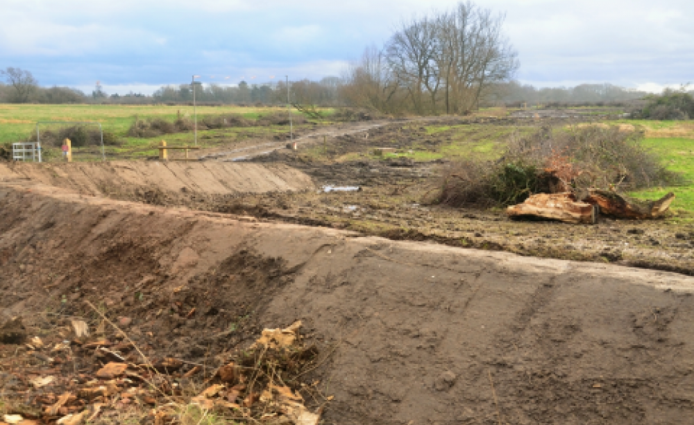 Earthworks under way and trees felled at the 'World Logistics Hub' site. Photo: Jonathan Gatward / intouchphotos.webs.com.