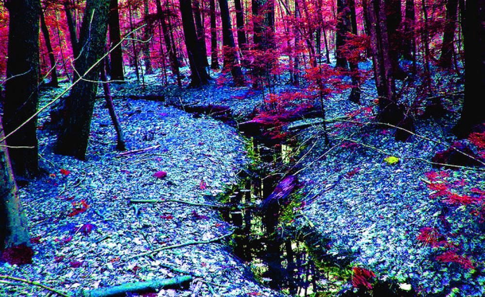 If only it was this easy to see radiation. Strange Land by Russ Seidel via Flickr.com.