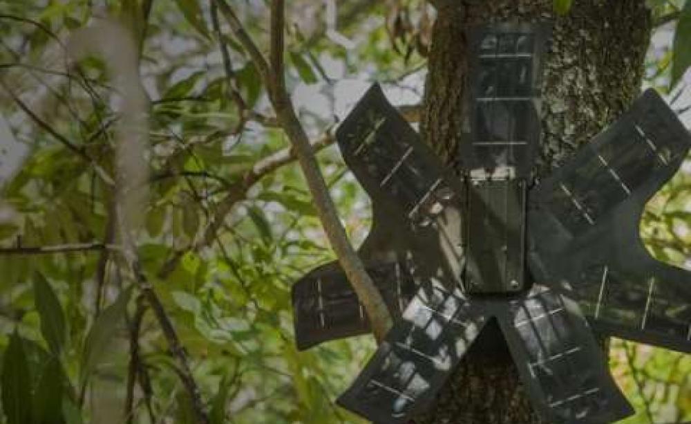 Smartphone tracking device ready for installing high in the forest canopy. Photo: Rainforest Connection (RFCx).