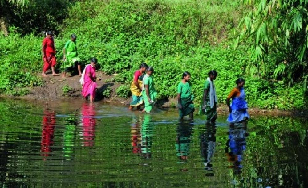 The women farmers of Edamalakudi. Photo: Madhuraj, Mathrubhumi Weekly.