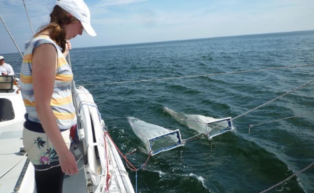 Fishing for plastic in the open ocean on the Rozalia in the 2013 Gaia to Gyre expedition. Photo: Ceri Lewis via Flickr.