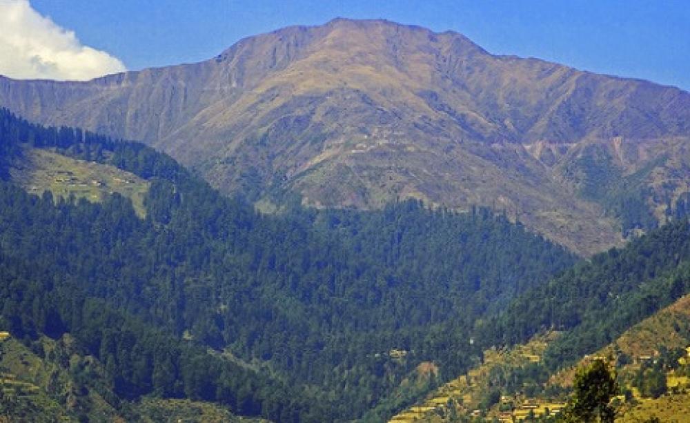 Deforestation in the high mountains has devastating effects downstream. The Forest of Aliabad, near Hajipir, district Bagh, Azad Kashmir. Photo: Muzaffar Bukhari via Flickr.