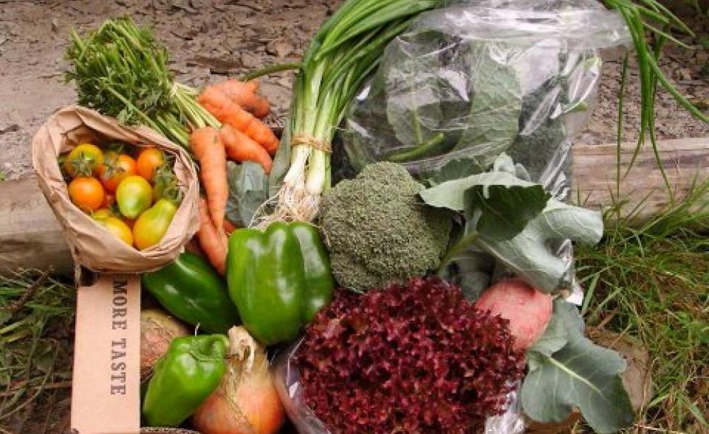 A gorgeous organic vegetable box from the Miller family farm. Photo: Alicia Miller.