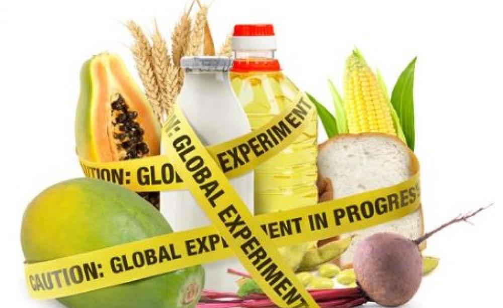 Front cover design from 'The GMO Deception', edited by Sheldon Krimsky and Jeremy Gruber.