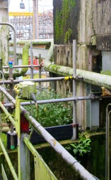 In the B29 pond building. Photo: unknown.