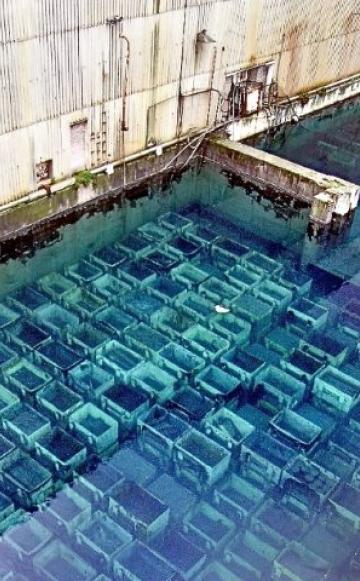 The B30 pond showing a full loading with fuel rods. Photo: unknown.