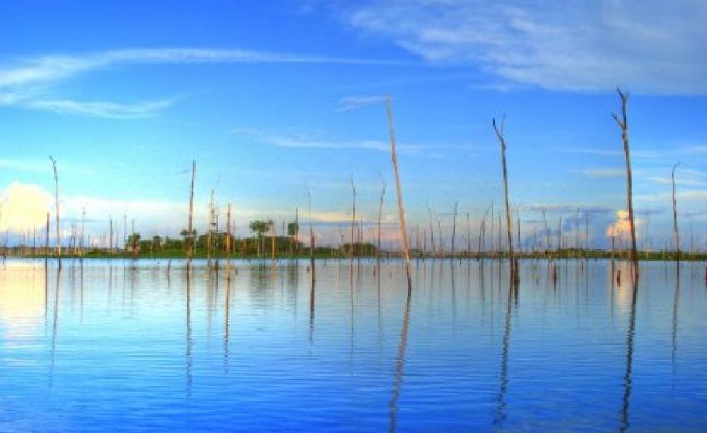 The Balbina Dam reservoir. Photo: via Greenpeace.