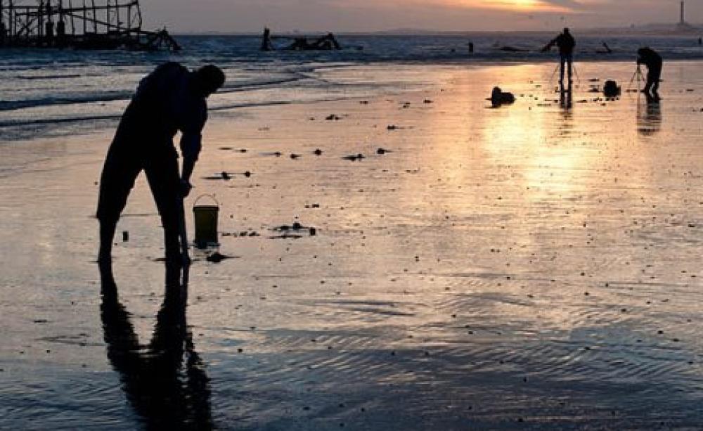Hunting for lugworms for fishing bait at Brighton beach. Photo: Martin Thomas via Flickr.