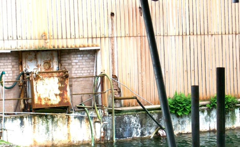 Sellafield - the B30 pond with seagull, possibly in 2010.