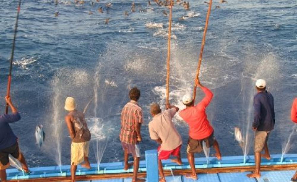 Rod and line fishing for tuna on a Maldivian fishing boat. Photo: Canopus Maldives / '...your local connection' via Flickr.