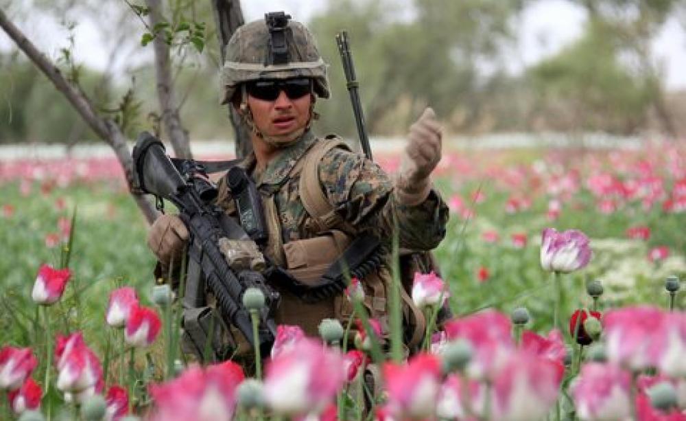 Waist-high in opium poppies, US Marines patrol west of Nahr-e Saraj canal. Photo:  DVIDSHUB via Flickr.
