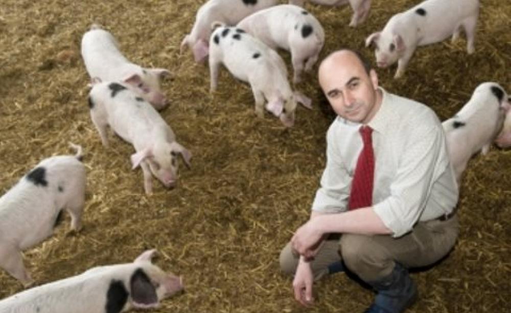 Philip Lymbery at work. Photo: CIWF.