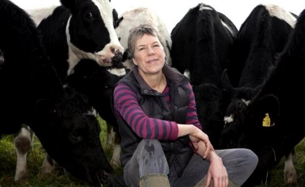 Helen Browning, chief executive of the Soil Association, among her organic cattle. Photo: Soil Association.