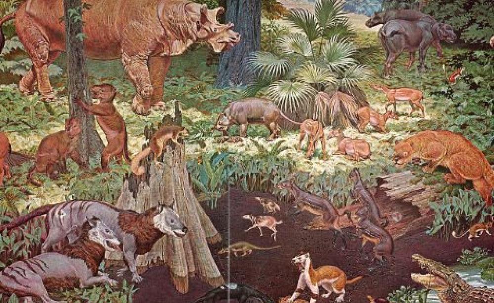 Eocene fauna of North America, on a 1964 mural made for the US government-owned Smithsonian Museum. Photo: Jay Matternes / Wikimedia Commons.