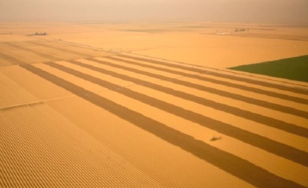 Parched aricultural land in California’s drought-hit San Joaquin Valley. Photo: Pete Souza / White House via Wikimedia Commons.