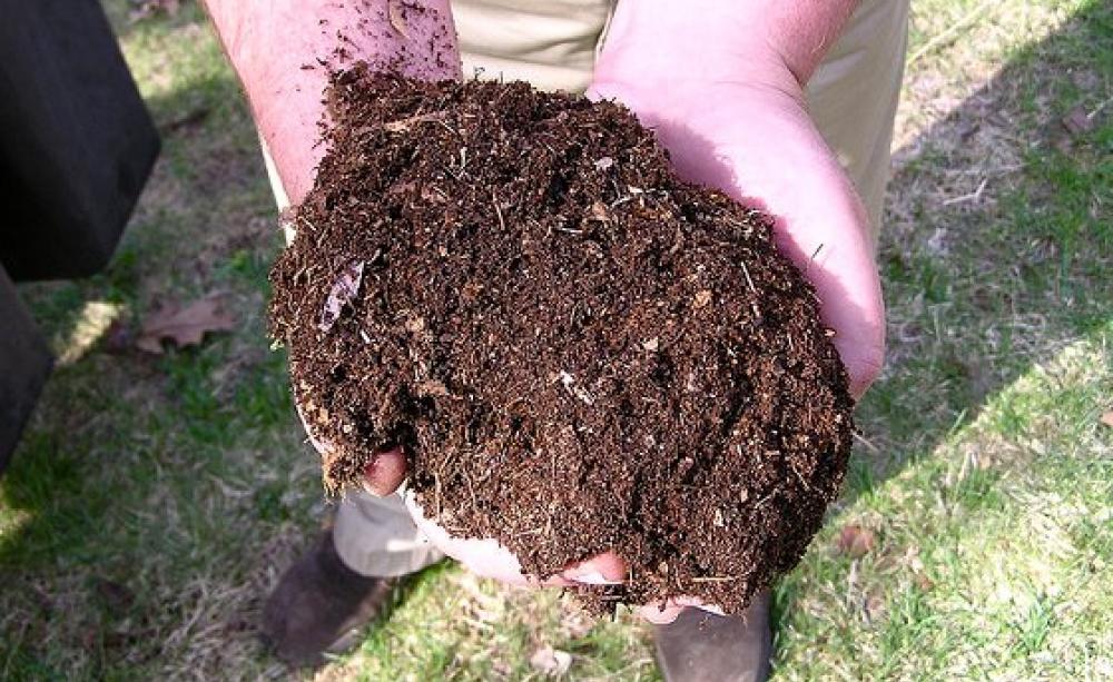 Real farming is all about sustaining healthy and abundant soil life - and applying compost is an important way to revitalise depleted soils. Photo: normanack via Flickr (CC BY).