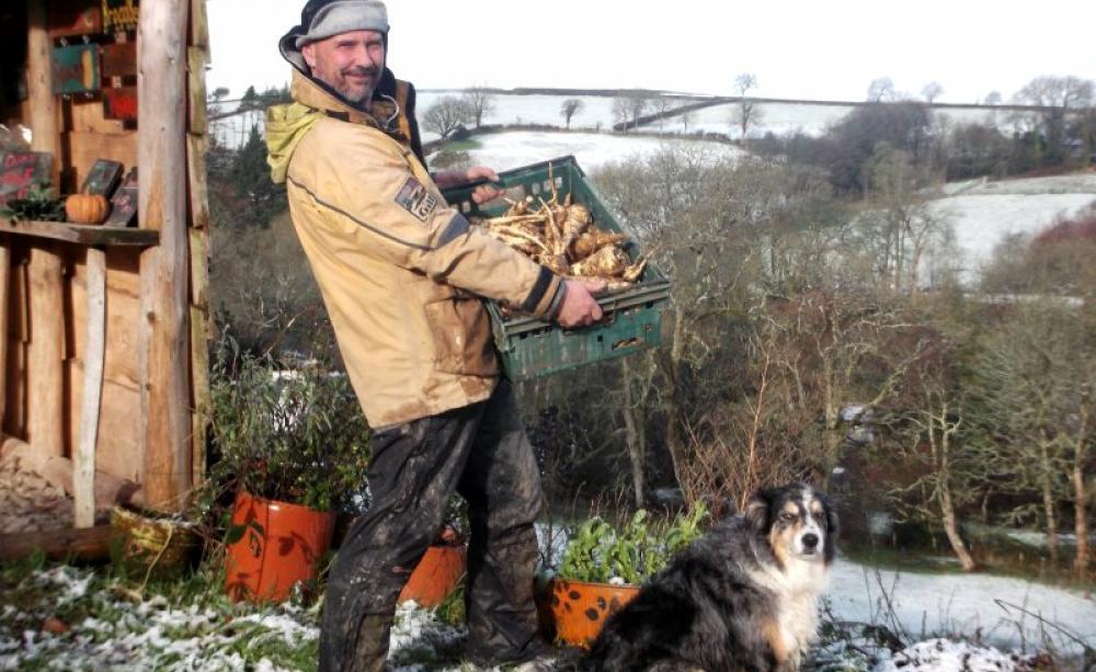 Photo: Troed-Y-Rhiw Farm via Facebook.
