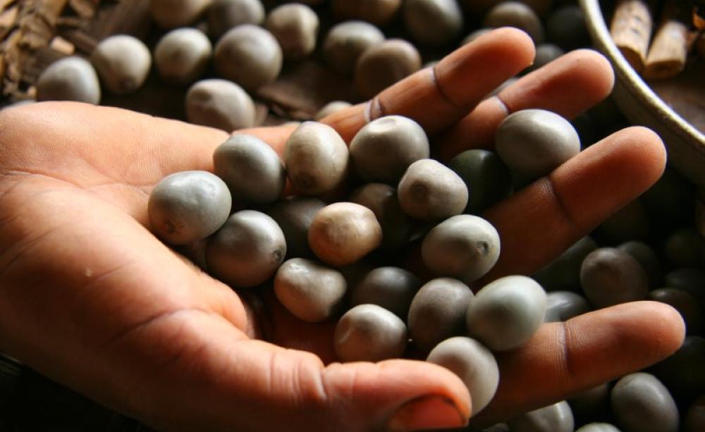 A handful of seeds, Porto-Novo, Oueme, Benin. Photo: Adam Cohn via Flickr (CC BY-NC-ND).