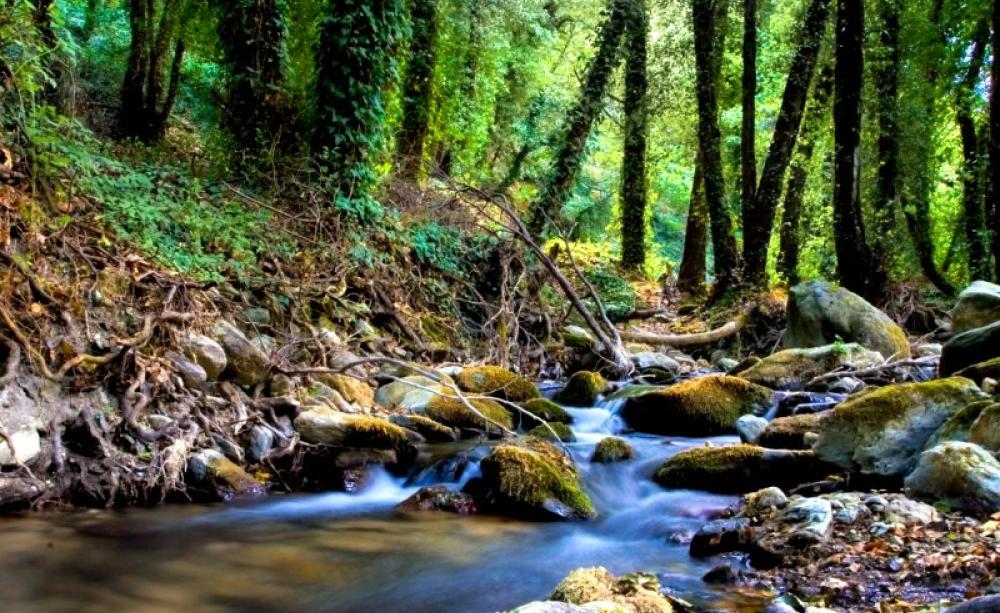 Another Greece: from the river Kastor near the village Kastori (or Kastania as it is also known) in the Peloponnese, near Sparta. Photo: Stephen Pougas via Flickr (CC BY-NC-ND).