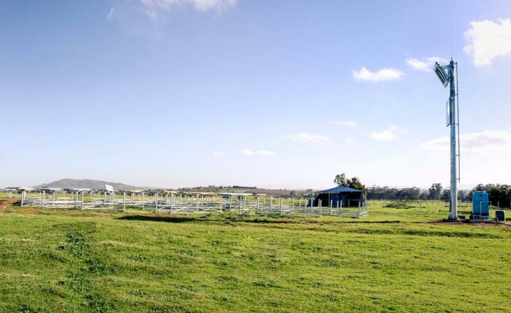 The 'plonkable heliostats'. doing their job. Photo: helio100.sun.ac.za/.