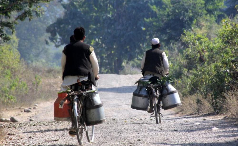 Farmers carrying milk to market on their bicycles under the hot sun in Ulttarakhand, India. Photo: Paul Hamilton via Flickr (CC BY-SA).