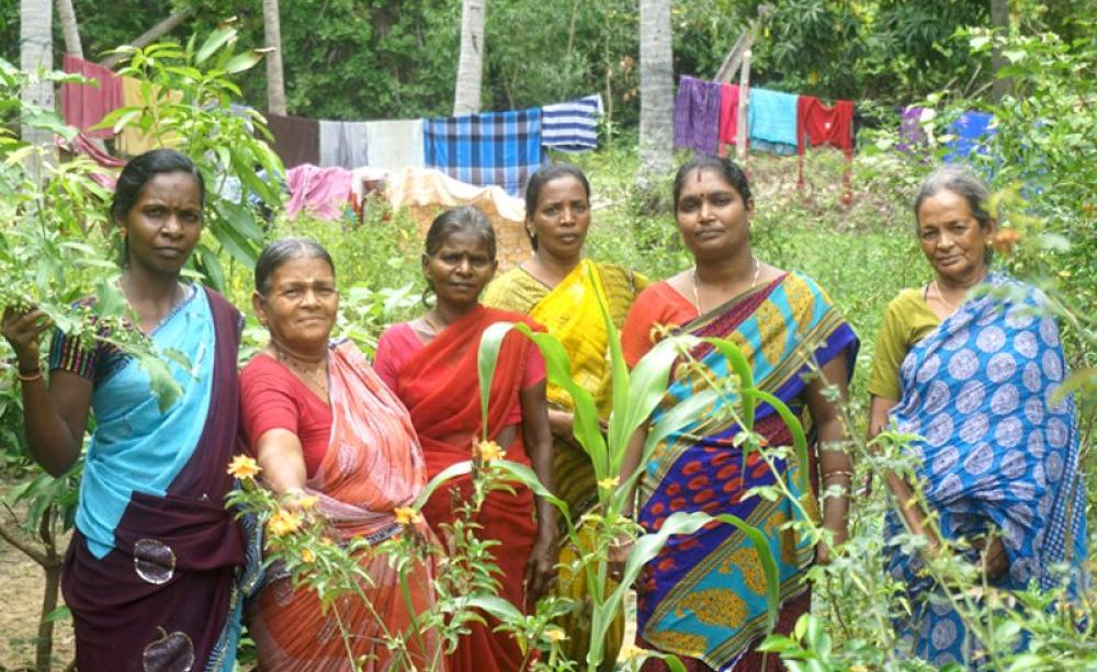 Members of the Womens' Collective of Tamil Nadu in a forest area where they are growing fruits and vegetables. Photo: WhyHunger.