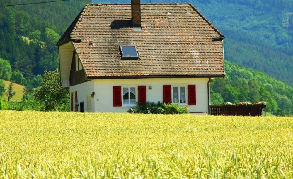No GM crops here! Typical farm house amid cropland in the Schwarzwald (Black Forest), Germany. Photo: Domenico via Flickr (CC BY-NC-SA).