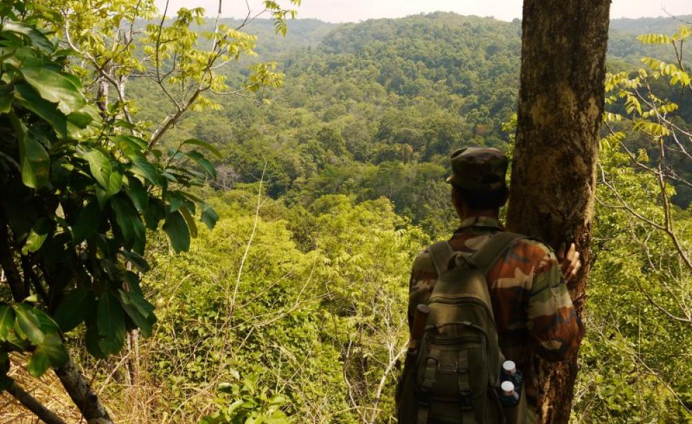A guard admires a rainforest vista near Elephant Valley. Photo: William F. Laurance.