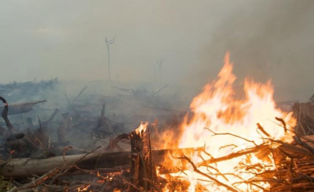 Drought and deforestation have proved to be a volatile combination in Indonesia. Photo: David Gilbert / Greenpeace, Author provided.