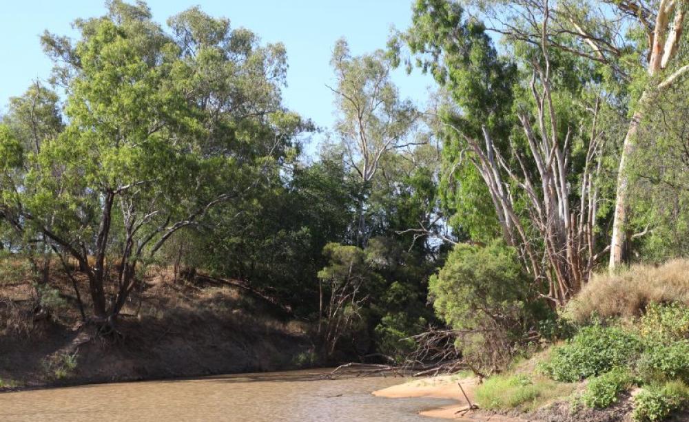 It's not just the climate: the Belyando River, which drains much of the Galilee Basin, will never be the same again if the water-guzzling coal mining goes ahead. Photo: Lock the Gate Alliance via Flickr (CC BY).