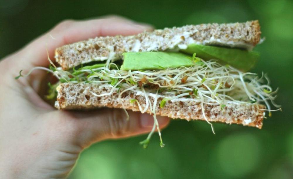 You want transgenes with that? Avocado Alfalfa Delight. Photo: Victoria Ristenbatt and Scott Redding via Flickr (CC BY-NC-SA).