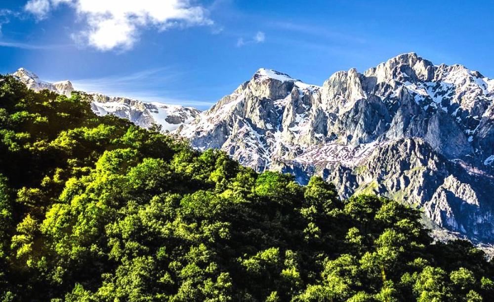 'Diagonal Nature' - Picos de Europa, Asturias, Spain. Photo: Pablo Fernández via Flickr (CC BY-NC-ND).