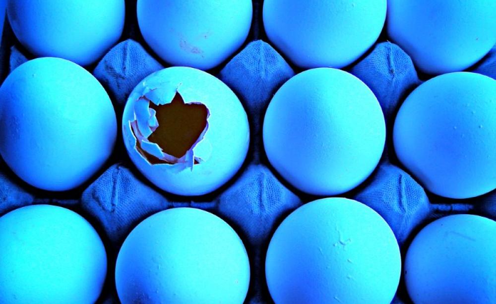 Be the one that got away ... and others may follow. Photo: Rodrigo Benavides via Flickr (CC BY-NC-ND).