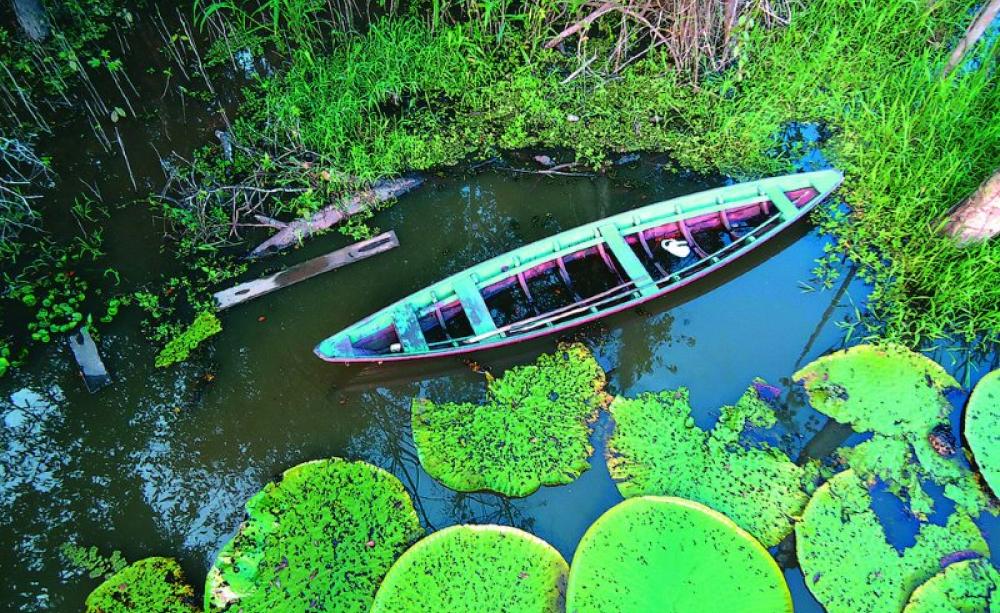 With damming of the Tapajos river, a whole world of biodiversity, beauty and indigenous cultures will be destroyed forever. Photo: Canoe on the Tapajos by Clairex (CC BY-NC-SA).
