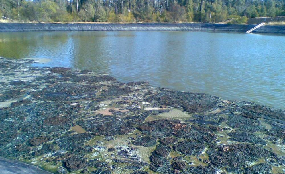 Without EU directives and regulations to protect us, could scenes like this become common in the UK countryside. Waste water pond in the Pilliga Forest, NSW, Australia, June 2011. Photo: Kate Ausburn / Lock the Gate Alliance.