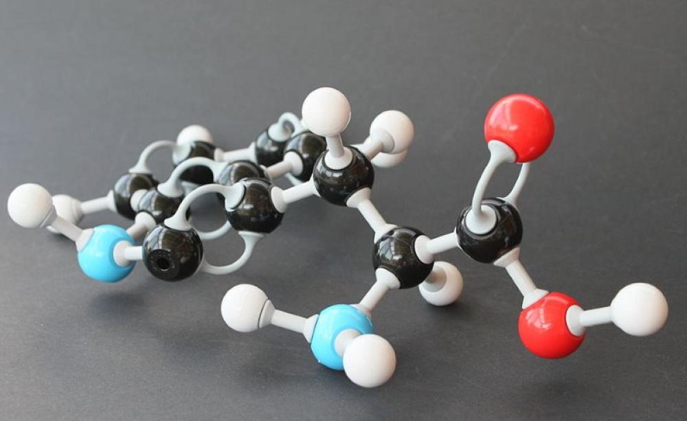 The first ingestible GE product, L-typtophan, derived from GMO bacteria.contained impurities that killed dozens of Americans and seriously sickened thousands, permanently disabling many of them. Image: Bin im Garten via Wikimedia Commons (CC BY-SA).